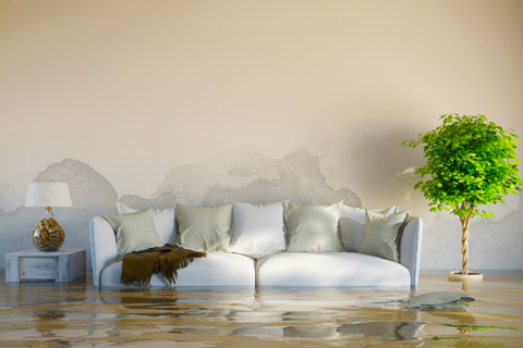 Den sofa and furnishings sit in muddy flood water